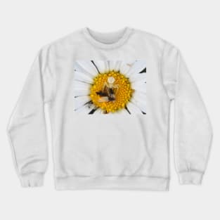 Tiny crab spider (likely male Misumena vatia) with lots of prey Crewneck Sweatshirt